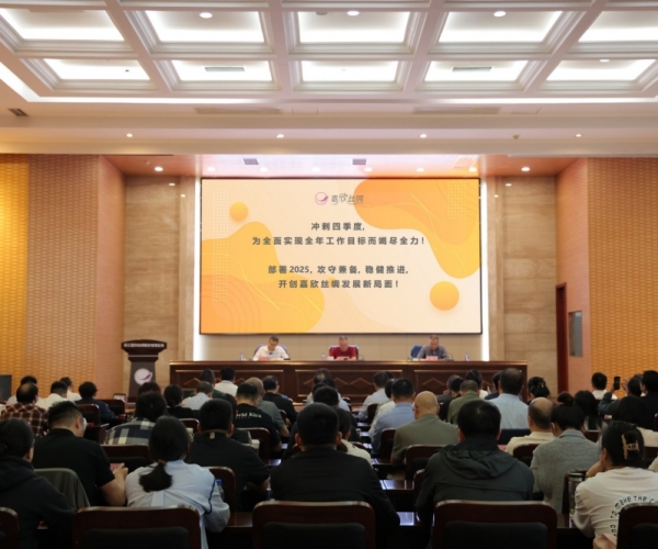 尊龙人生就是博首页丝绸2024年三季度经济形势剖析会顺遂召开