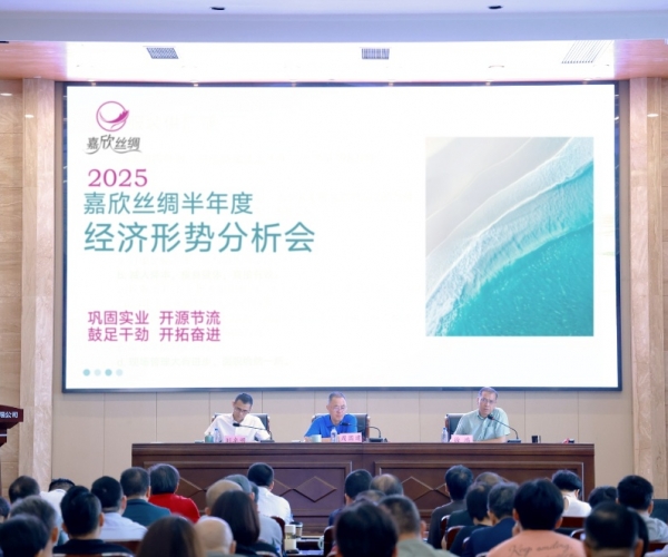 尊龙人生就是博首页丝绸2025半年度经济形势剖析会顺遂召开
